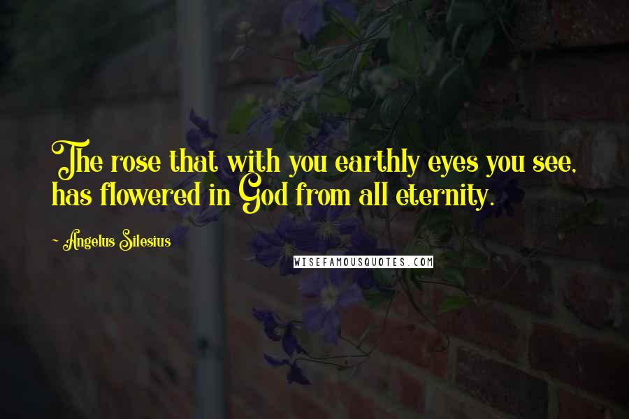 Angelus Silesius Quotes: The rose that with you earthly eyes you see, has flowered in God from all eternity.