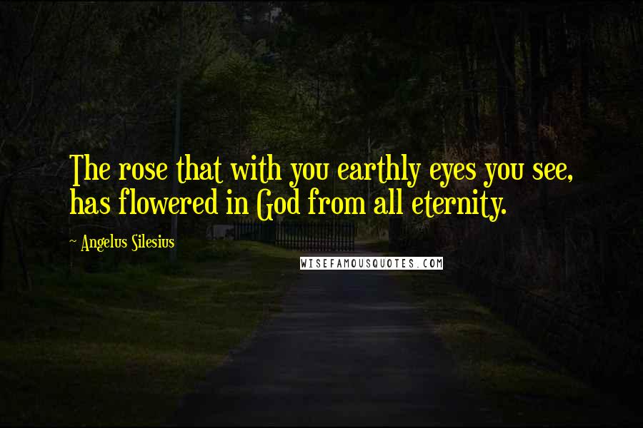 Angelus Silesius Quotes: The rose that with you earthly eyes you see, has flowered in God from all eternity.