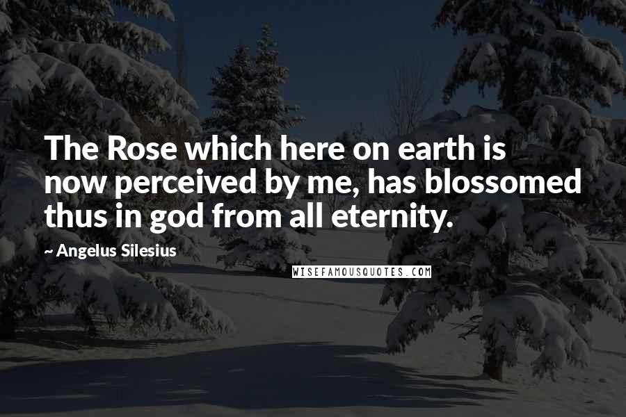 Angelus Silesius Quotes: The Rose which here on earth is now perceived by me, has blossomed thus in god from all eternity.