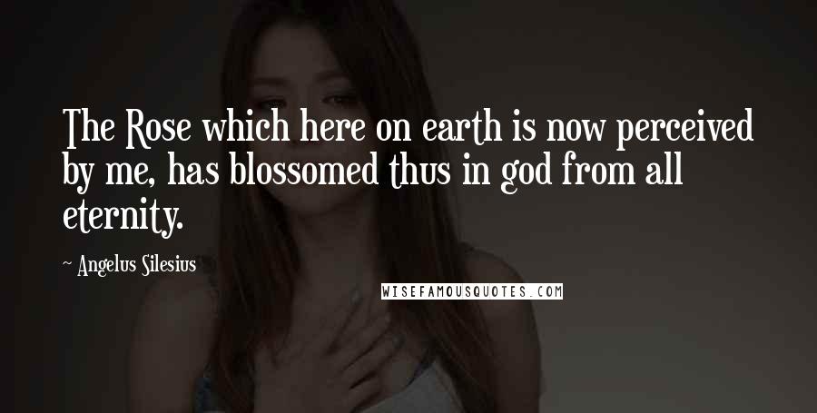 Angelus Silesius Quotes: The Rose which here on earth is now perceived by me, has blossomed thus in god from all eternity.