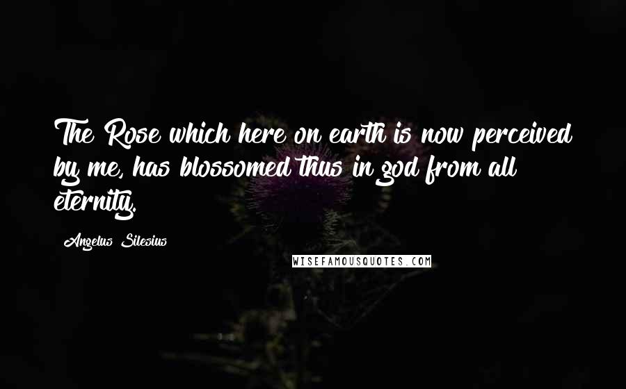 Angelus Silesius Quotes: The Rose which here on earth is now perceived by me, has blossomed thus in god from all eternity.