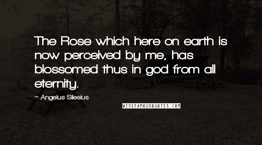 Angelus Silesius Quotes: The Rose which here on earth is now perceived by me, has blossomed thus in god from all eternity.
