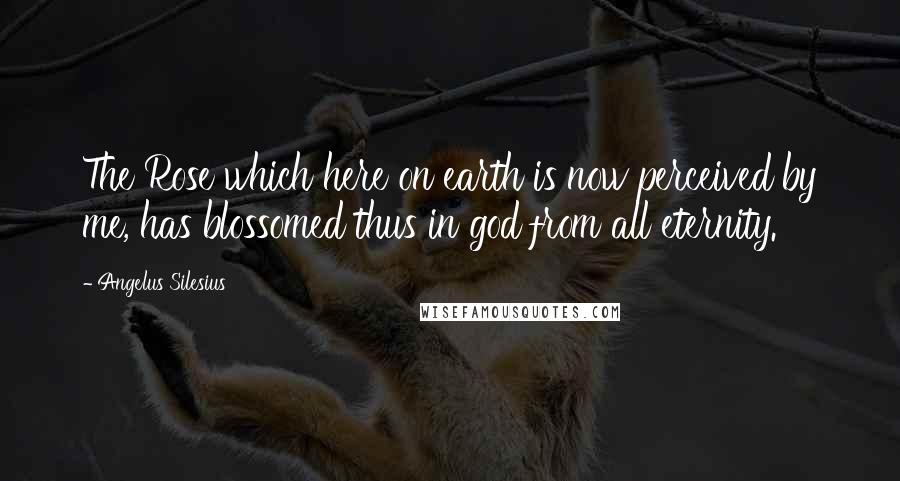 Angelus Silesius Quotes: The Rose which here on earth is now perceived by me, has blossomed thus in god from all eternity.