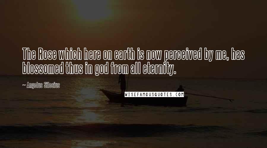 Angelus Silesius Quotes: The Rose which here on earth is now perceived by me, has blossomed thus in god from all eternity.