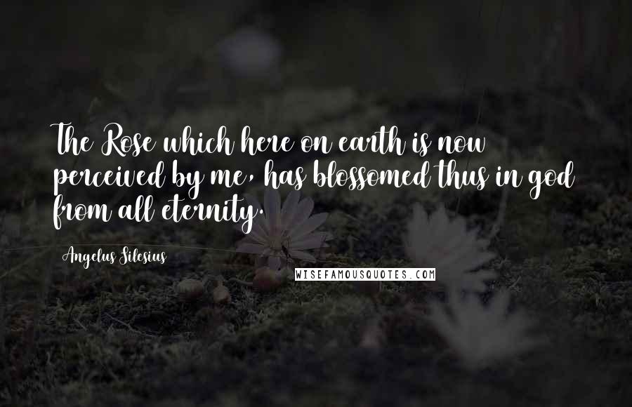 Angelus Silesius Quotes: The Rose which here on earth is now perceived by me, has blossomed thus in god from all eternity.