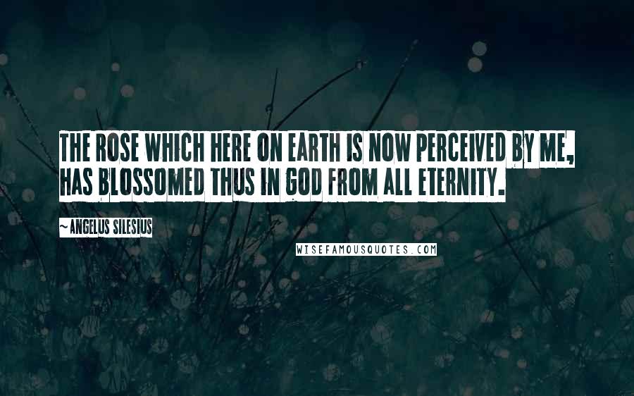 Angelus Silesius Quotes: The Rose which here on earth is now perceived by me, has blossomed thus in god from all eternity.