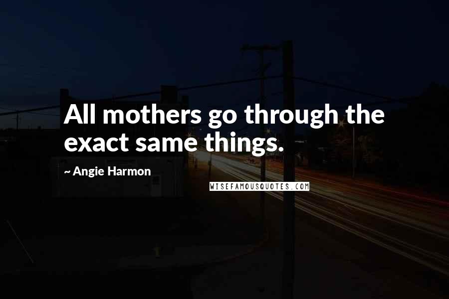 Angie Harmon Quotes: All mothers go through the exact same things.