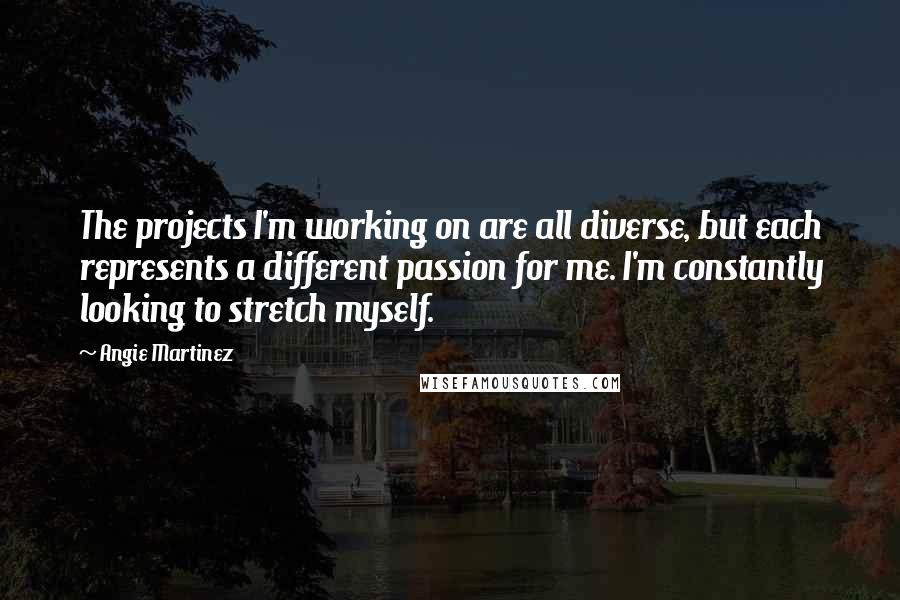 Angie Martinez Quotes: The projects I'm working on are all diverse, but each represents a different passion for me. I'm constantly looking to stretch myself.