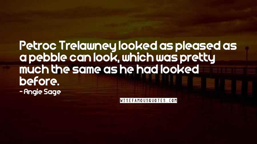 Angie Sage Quotes: Petroc Trelawney looked as pleased as a pebble can look, which was pretty much the same as he had looked before.
