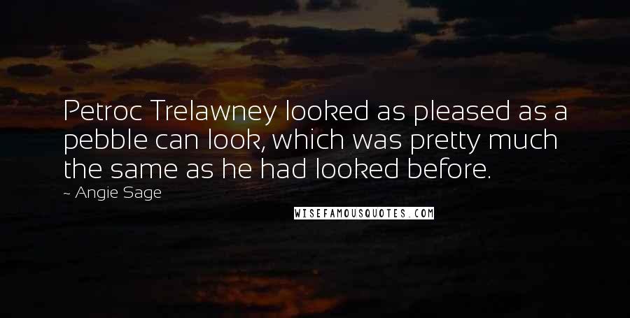 Angie Sage Quotes: Petroc Trelawney looked as pleased as a pebble can look, which was pretty much the same as he had looked before.