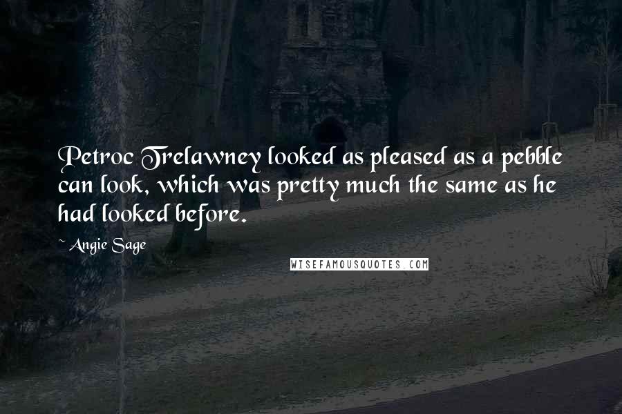 Angie Sage Quotes: Petroc Trelawney looked as pleased as a pebble can look, which was pretty much the same as he had looked before.