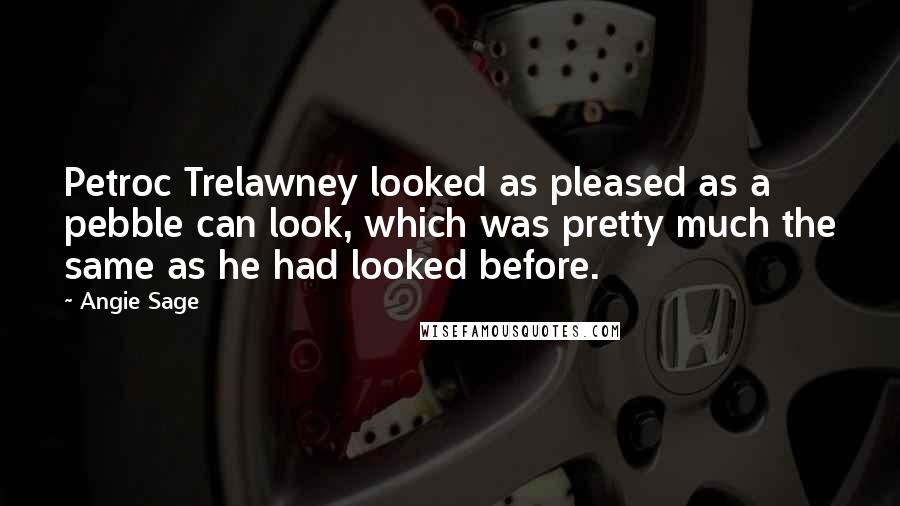 Angie Sage Quotes: Petroc Trelawney looked as pleased as a pebble can look, which was pretty much the same as he had looked before.