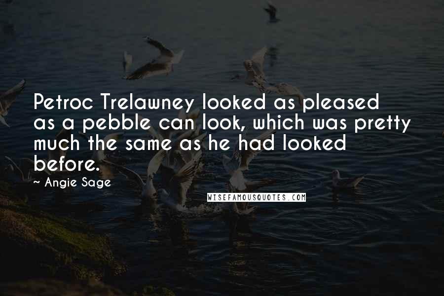 Angie Sage Quotes: Petroc Trelawney looked as pleased as a pebble can look, which was pretty much the same as he had looked before.