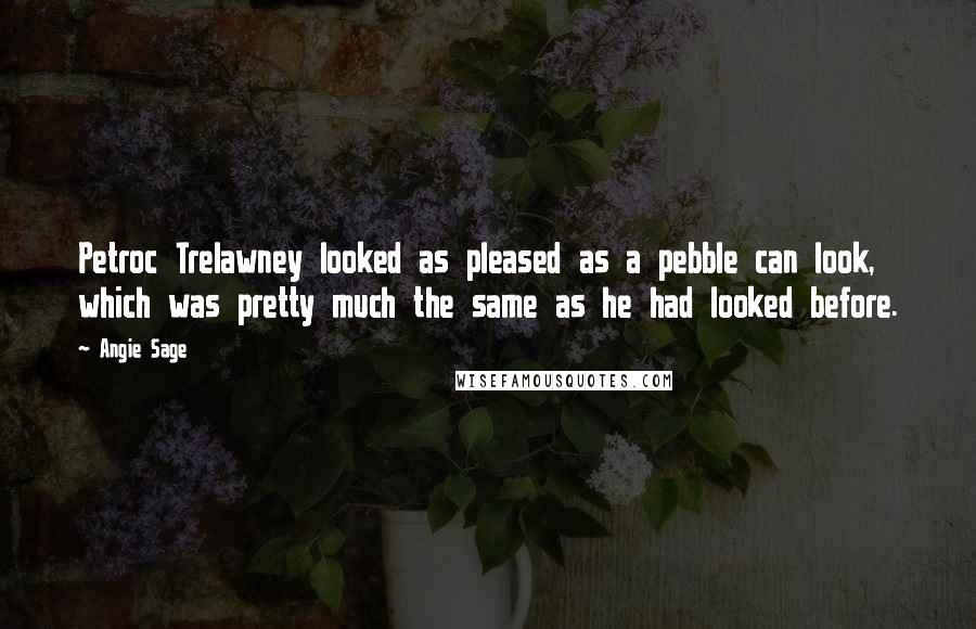 Angie Sage Quotes: Petroc Trelawney looked as pleased as a pebble can look, which was pretty much the same as he had looked before.