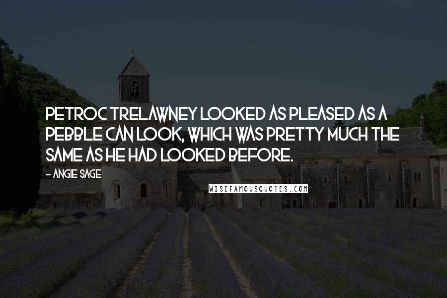 Angie Sage Quotes: Petroc Trelawney looked as pleased as a pebble can look, which was pretty much the same as he had looked before.