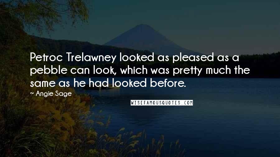 Angie Sage Quotes: Petroc Trelawney looked as pleased as a pebble can look, which was pretty much the same as he had looked before.
