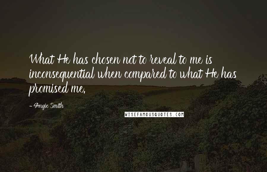 Angie Smith Quotes: What He has chosen not to reveal to me is inconsequential when compared to what He has promised me.