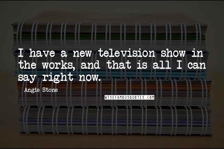 Angie Stone Quotes: I have a new television show in the works, and that is all I can say right now.