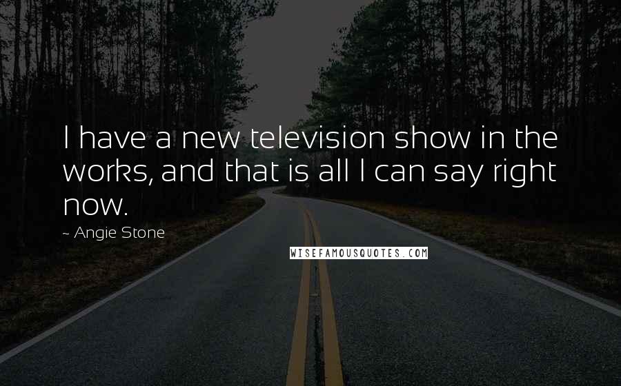 Angie Stone Quotes: I have a new television show in the works, and that is all I can say right now.