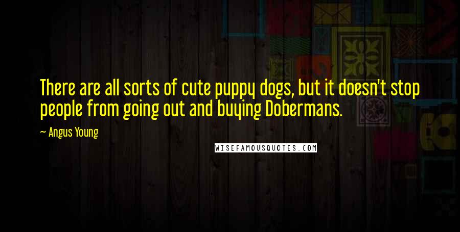 Angus Young Quotes: There are all sorts of cute puppy dogs, but it doesn't stop people from going out and buying Dobermans.