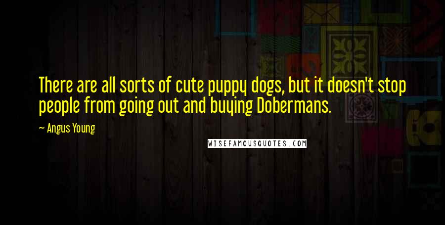 Angus Young Quotes: There are all sorts of cute puppy dogs, but it doesn't stop people from going out and buying Dobermans.