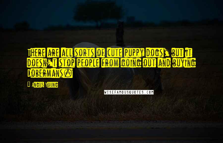 Angus Young Quotes: There are all sorts of cute puppy dogs, but it doesn't stop people from going out and buying Dobermans.