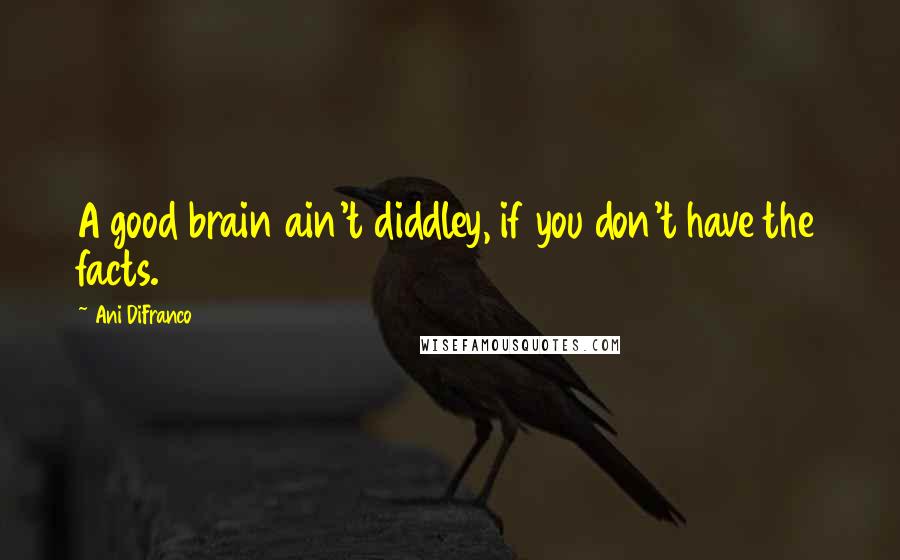 Ani DiFranco Quotes: A good brain ain't diddley, if you don't have the facts.