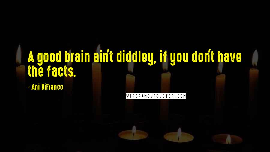 Ani DiFranco Quotes: A good brain ain't diddley, if you don't have the facts.