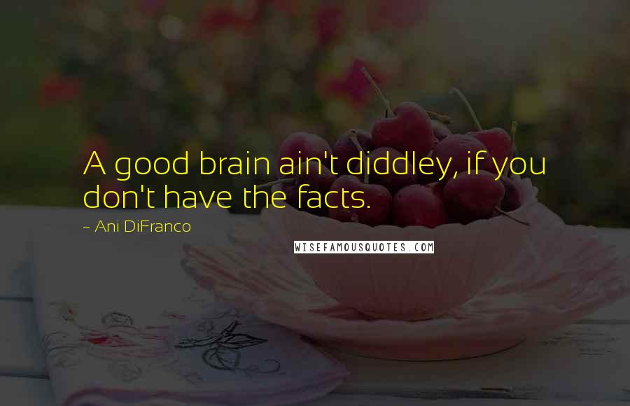 Ani DiFranco Quotes: A good brain ain't diddley, if you don't have the facts.