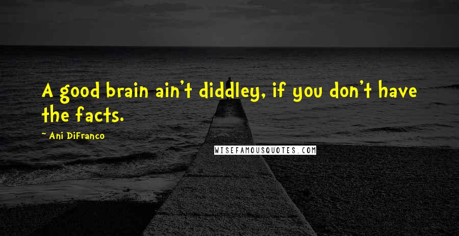 Ani DiFranco Quotes: A good brain ain't diddley, if you don't have the facts.