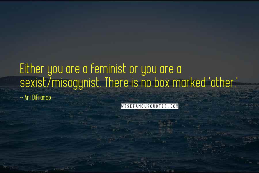 Ani DiFranco Quotes: Either you are a feminist or you are a sexist/misogynist. There is no box marked 'other.'