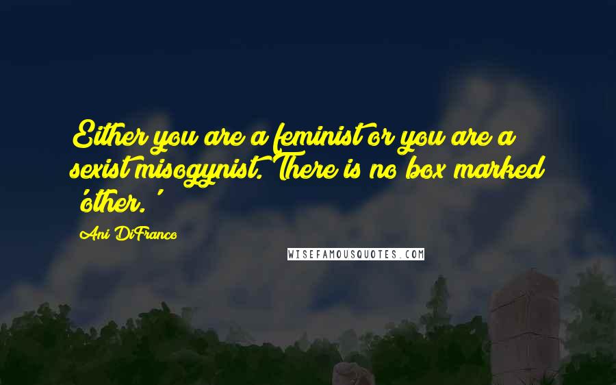 Ani DiFranco Quotes: Either you are a feminist or you are a sexist/misogynist. There is no box marked 'other.'