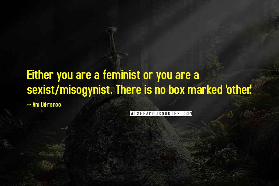 Ani DiFranco Quotes: Either you are a feminist or you are a sexist/misogynist. There is no box marked 'other.'