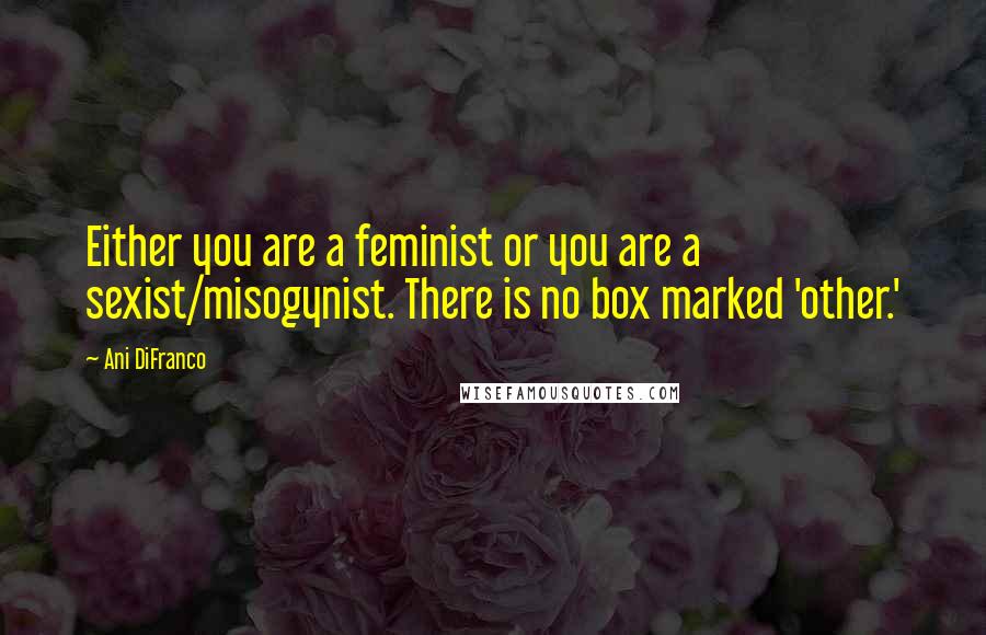 Ani DiFranco Quotes: Either you are a feminist or you are a sexist/misogynist. There is no box marked 'other.'