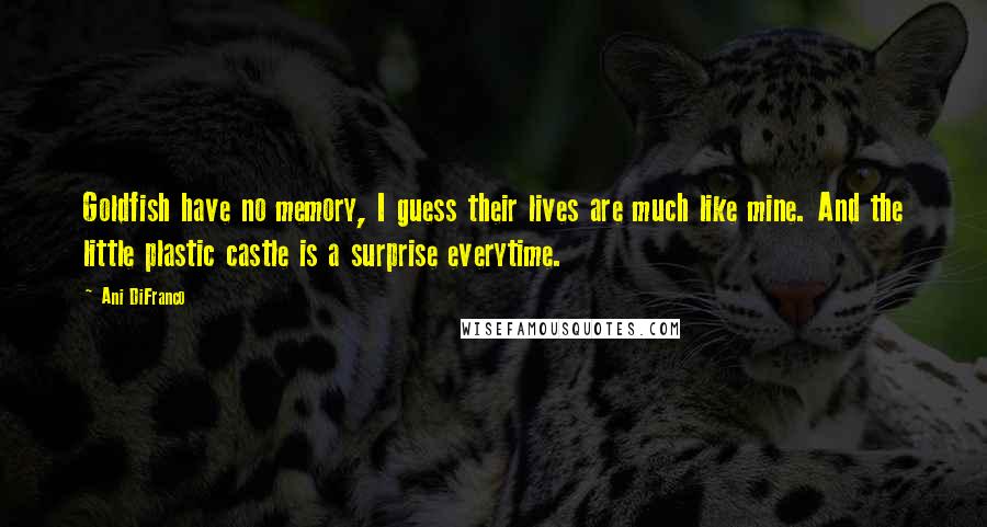 Ani DiFranco Quotes: Goldfish have no memory, I guess their lives are much like mine. And the little plastic castle is a surprise everytime.