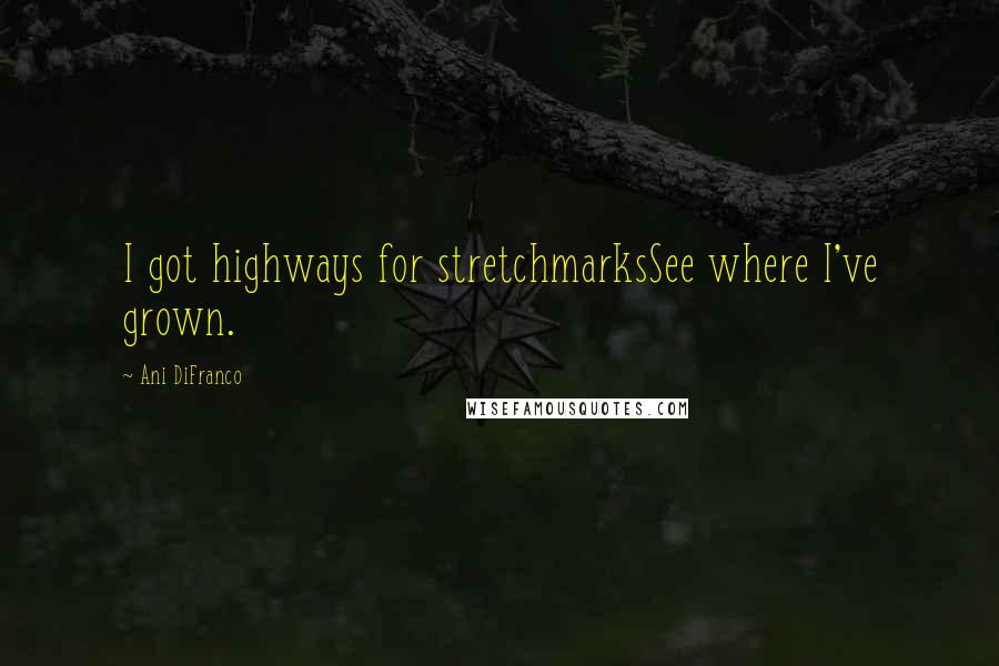 Ani DiFranco Quotes: I got highways for stretchmarksSee where I've grown.