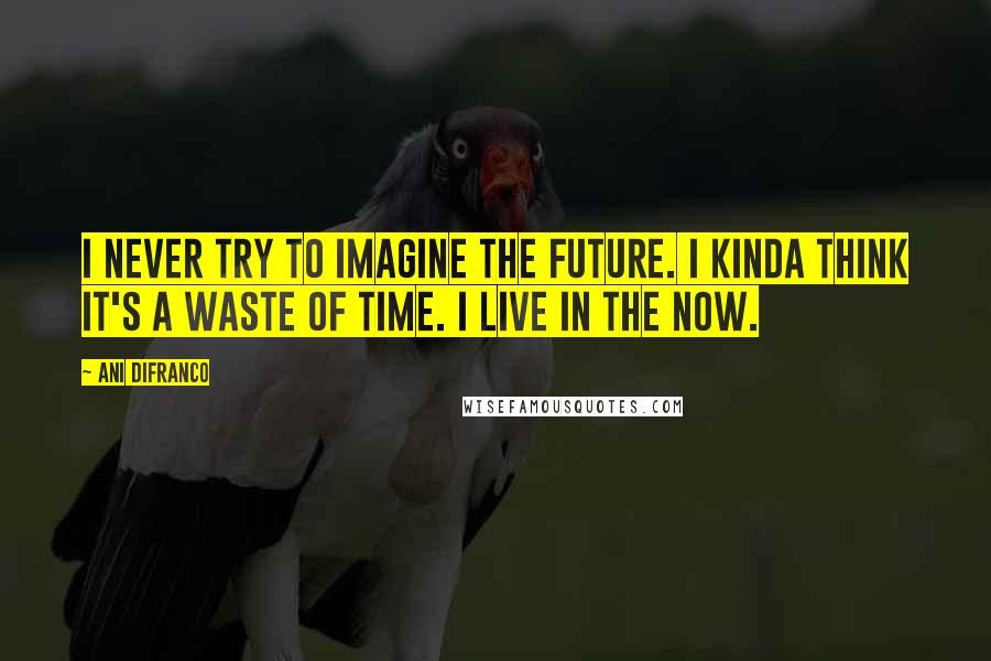 Ani DiFranco Quotes: I never try to imagine the future. I kinda think it's a waste of time. I live in the now.