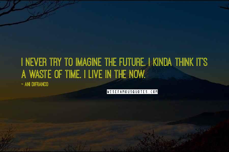 Ani DiFranco Quotes: I never try to imagine the future. I kinda think it's a waste of time. I live in the now.