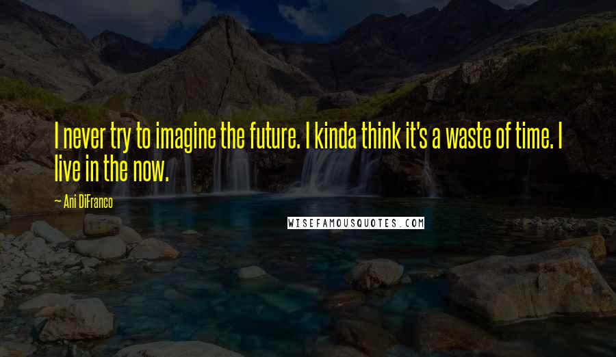 Ani DiFranco Quotes: I never try to imagine the future. I kinda think it's a waste of time. I live in the now.