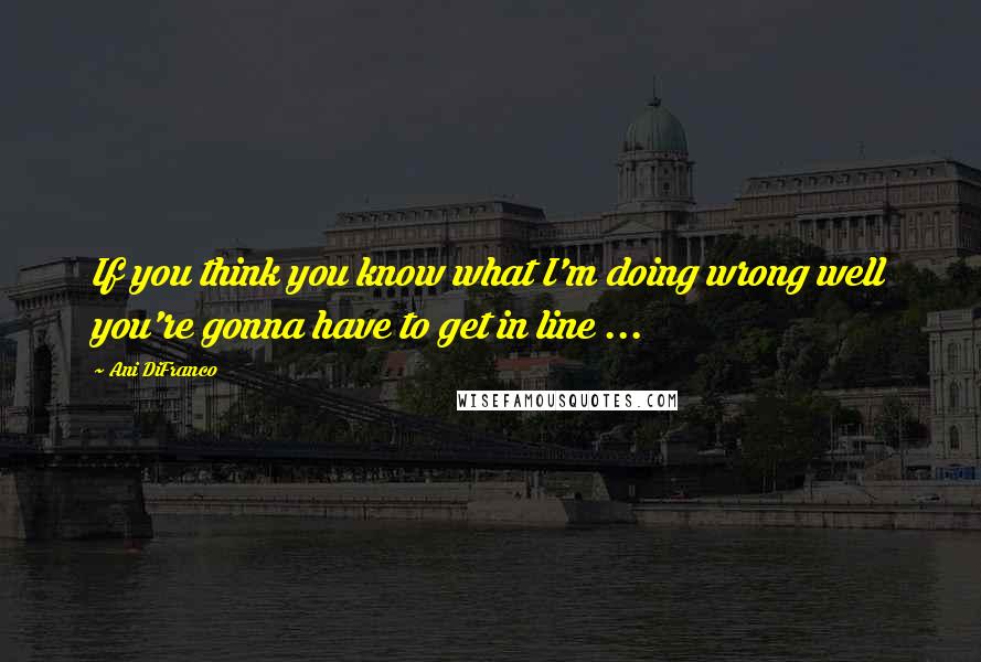 Ani DiFranco Quotes: If you think you know what I'm doing wrong well you're gonna have to get in line ...