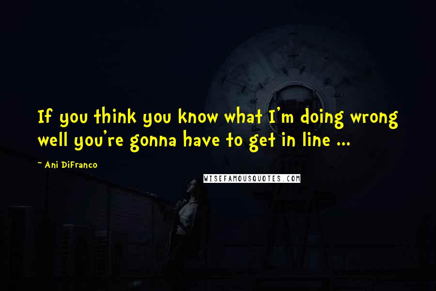 Ani DiFranco Quotes: If you think you know what I'm doing wrong well you're gonna have to get in line ...