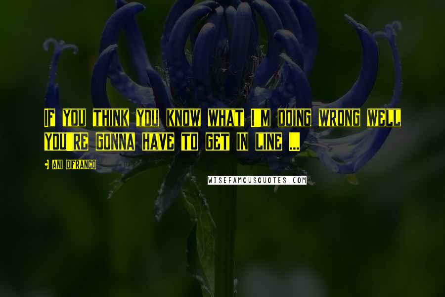 Ani DiFranco Quotes: If you think you know what I'm doing wrong well you're gonna have to get in line ...