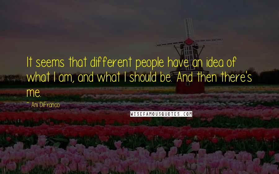 Ani DiFranco Quotes: It seems that different people have an idea of what I am, and what I should be. And then there's me.