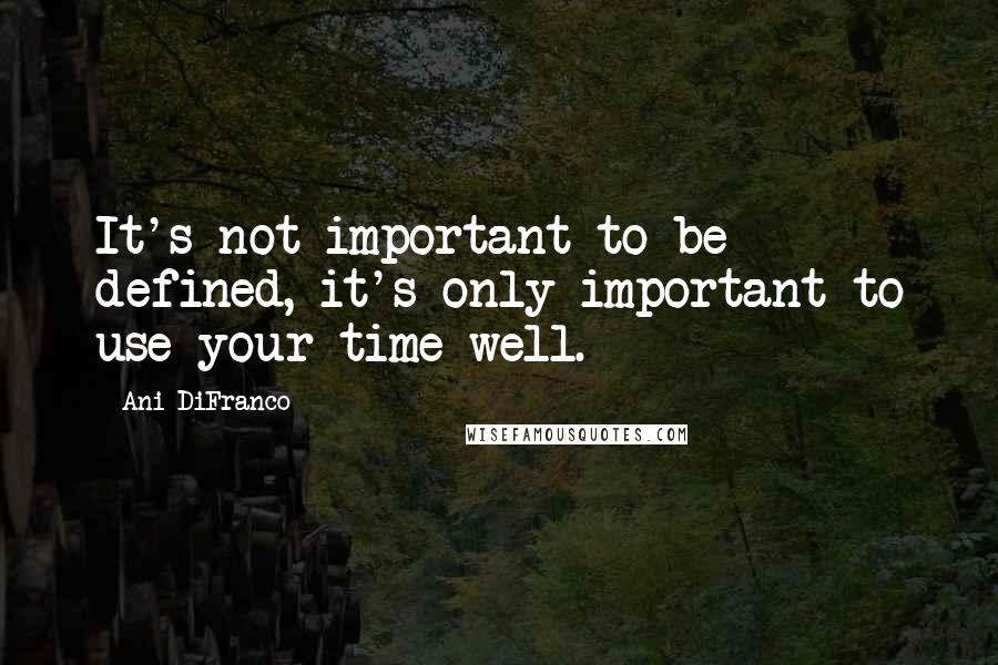 Ani DiFranco Quotes: It's not important to be defined, it's only important to use your time well.
