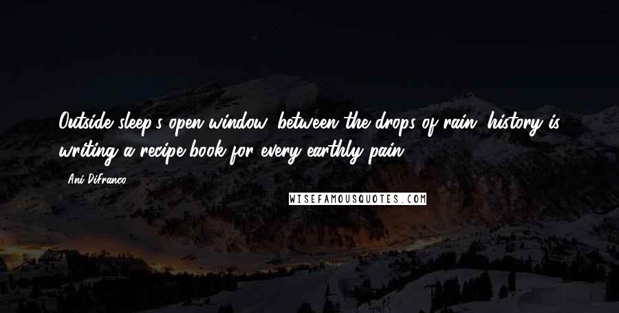 Ani DiFranco Quotes: Outside sleep's open window, between the drops of rain, history is writing a recipe book for every earthly pain.