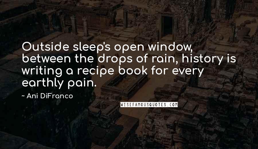 Ani DiFranco Quotes: Outside sleep's open window, between the drops of rain, history is writing a recipe book for every earthly pain.