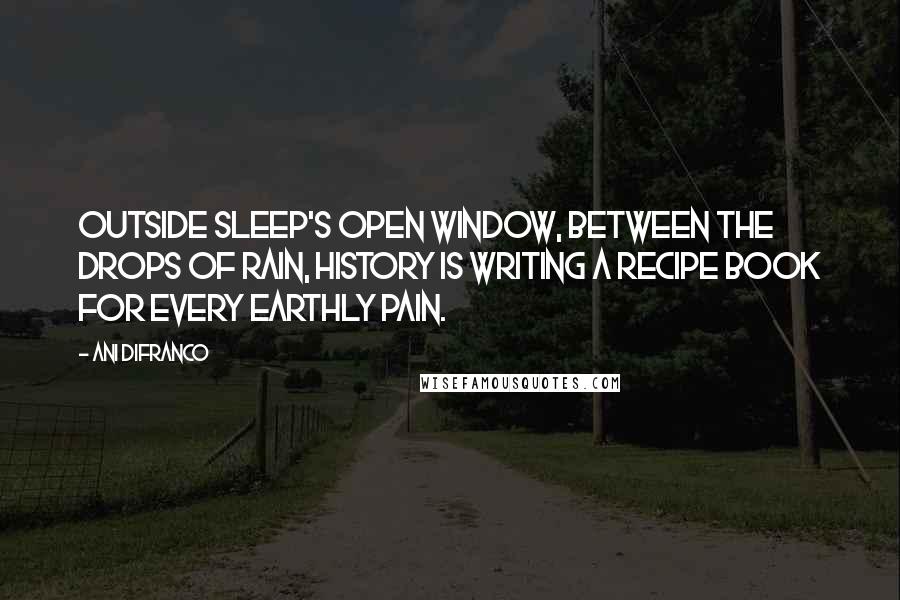 Ani DiFranco Quotes: Outside sleep's open window, between the drops of rain, history is writing a recipe book for every earthly pain.