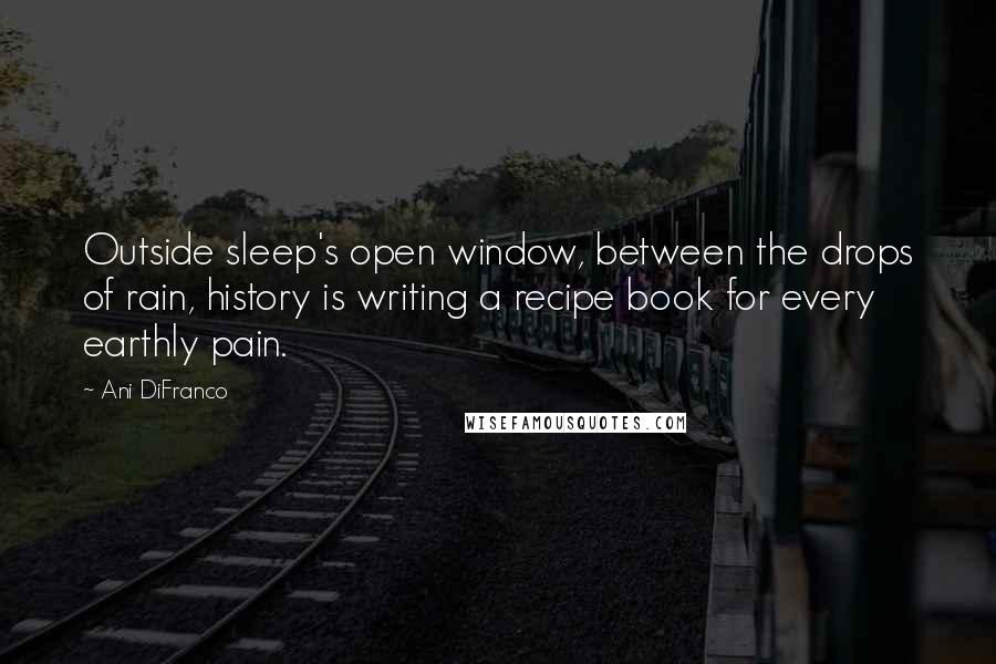 Ani DiFranco Quotes: Outside sleep's open window, between the drops of rain, history is writing a recipe book for every earthly pain.