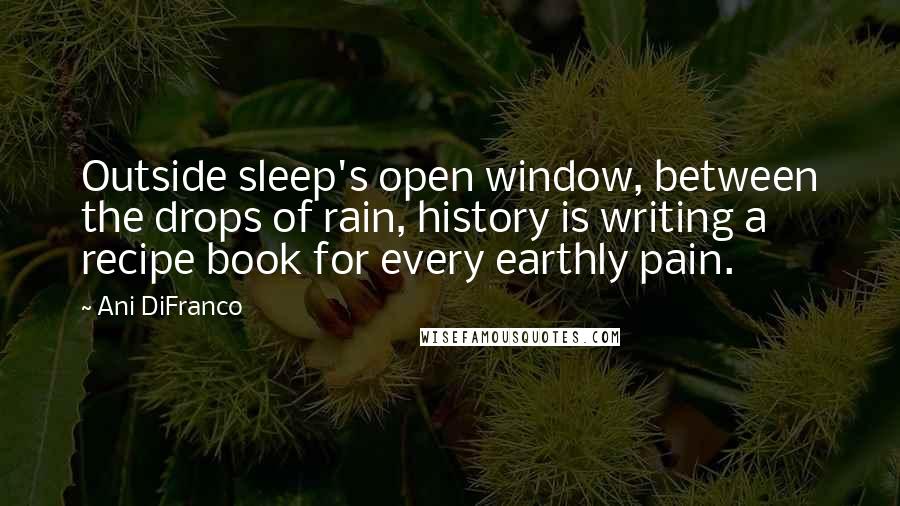 Ani DiFranco Quotes: Outside sleep's open window, between the drops of rain, history is writing a recipe book for every earthly pain.