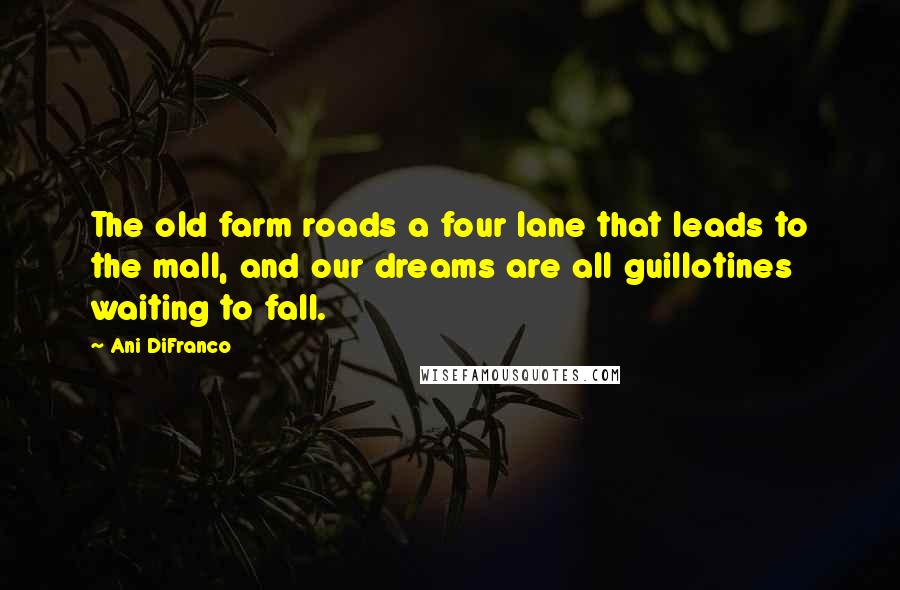 Ani DiFranco Quotes: The old farm roads a four lane that leads to the mall, and our dreams are all guillotines waiting to fall.